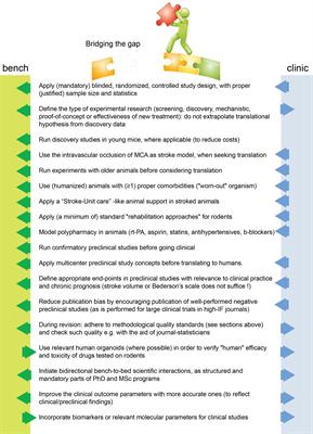 Translational Block in Stroke: A Constructive and “Out-of-the-Box” Reappraisal